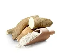 Nigerian cassava flour exported globally for gluten-free food production