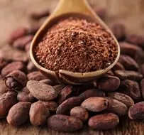 Nigerian cocoa beans distributed globally for chocolate and confectionery production