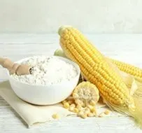 Nigerian maize flour shipped internationally for pap, meals, and baking