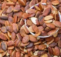 ogbono seeds from Nigeria for international soup markets and catering