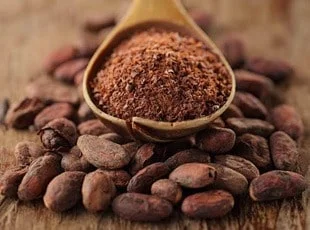 cocoa supplier in nigeria